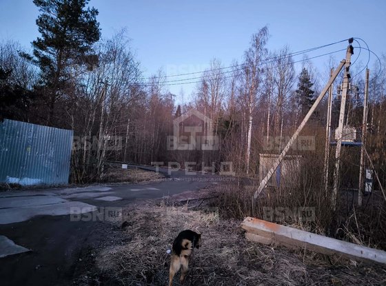 Продажа участка - деревня Сойкино, Сойкино д