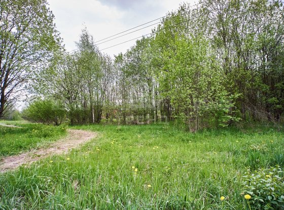 Продажа участка - поселок Петро-Славянка, Лесной проспект