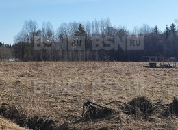 Продажа земельного участка - Ленинградская область, Гатчинский район, Луйсковицы д., Медовая ул., д.2 