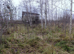 Продажа земельного участка - Ленинградская область, Гатчинский район, Вайя д., Железнодорожная ул. 