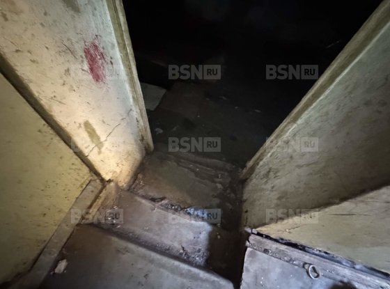 Продажа офиса - Чайковского улица, д.51, литера А 