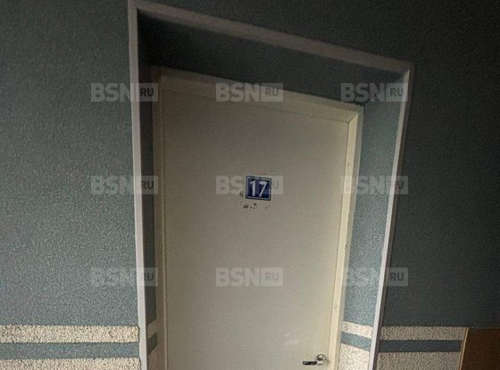 Продажа офиса - Профессора Попова улица, д.44, литера Б 