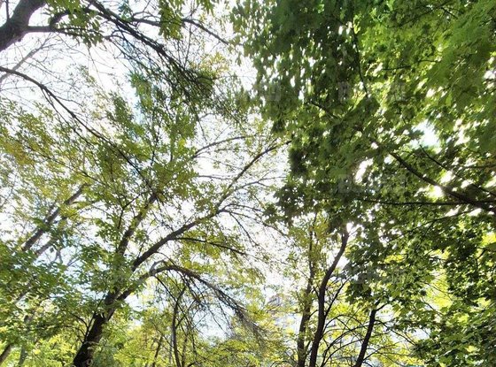 Продажа четырехкомнатной квартиры - Большевиков проспект, д.4, корп.1 