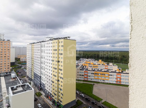 Продажа двухкомнатной квартиры - Муринская дорога, д.25, корп.3 стр 1 