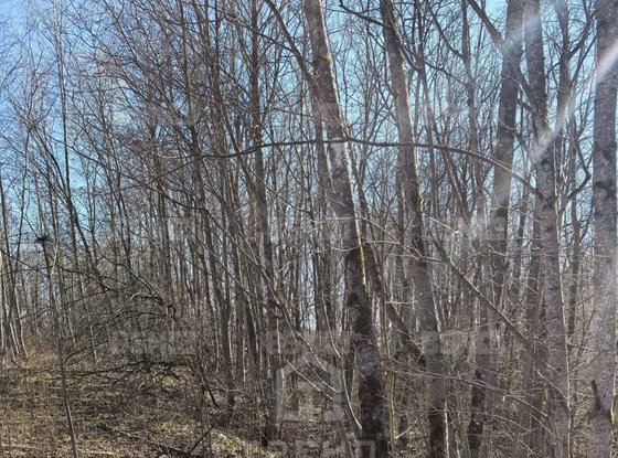 Продажа участка - Ивангород, Госпитальная улица