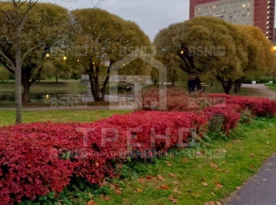 Продажа однокомнатной квартиры - Белградская улица, д.26, корп.9 