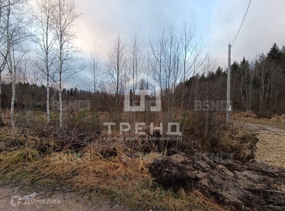 Продажа участка - Ленинградская область, Бригантина-2(Кобрино) территория снт