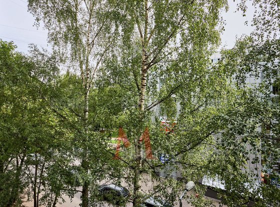 Продажа трехкомнатной квартиры - Просвещения проспект, д.30, корп.1 