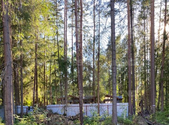 Продажа участка - городской поселок Рощино, Лесная улица