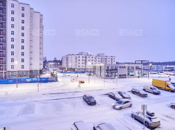 Продажа однокомнатной квартиры - Сертолово, Мира улица, д.7, корп.2 