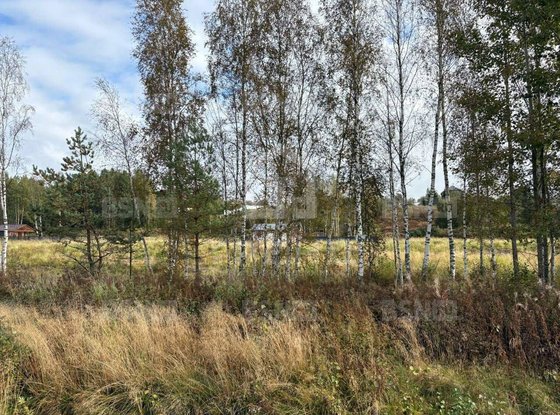Продажа участка - деревня Никитилово, Никитилово д