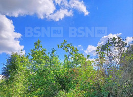 Продажа дачи - Ленинградская область, Гатчинский район, Сиверский г.п., Вишневского ул.