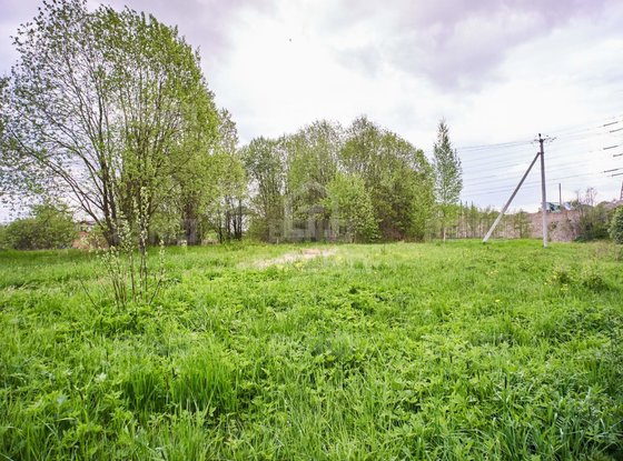 Продажа участка - поселок Петро-Славянка, Лесной проспект