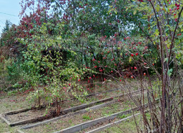 Продажа земельного участка - Ленинградская область, Ломоносовский район, Пески тер. СНТ, 13-я линия ул. 