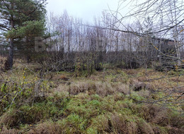 Продажа земельного участка - Ленинградская область, Гатчинский район, Вайя д., Железнодорожная ул. 