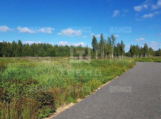 Продажа участка - деревня Никитилово, Никитилово д