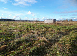 Продажа земельного участка - Ленинградская область, Гатчинский район, Большое Рейзино д. 