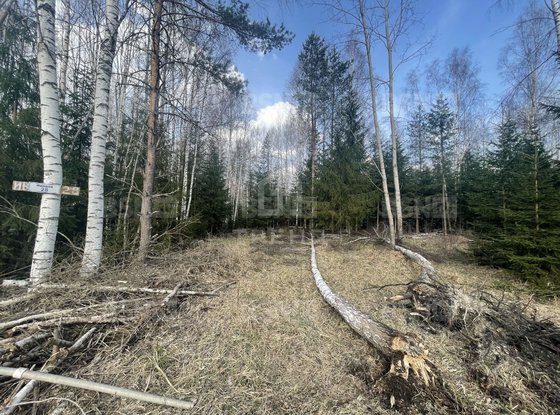 Продажа участка - Ленинградская область, Михайловское(Михайловка) территория снт