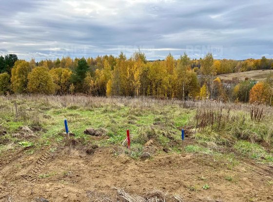 Продажа участка - Всеволожский район, Массив Скотное территория