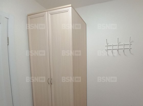 Аренда однокомнатной квартиры - деревня Новосаратовка, Первых улица, д.2, корп.4 