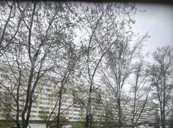 Продажа двухкомнатной квартиры - Генерала Симоняка улица, д.23 