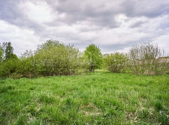 Продажа участка - поселок Петро-Славянка, Лесной проспект