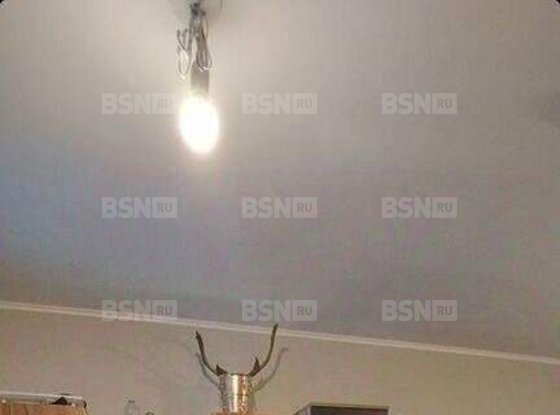 Продажа однокомнатной квартиры - поселок Парголово, Толубеевский проезд, д.8, корп.2 