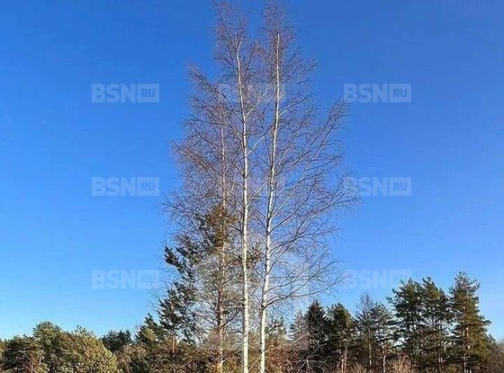 Продажа однокомнатной квартиры - деревня Мистолово, Спортивный проезд, д.21 