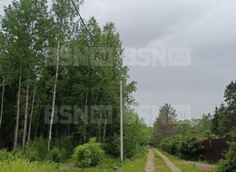 Продажа участка - СТ Пролетарский труд ул.