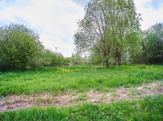 Продажа участка - поселок Петро-Славянка, Лесной проспект