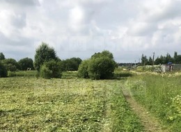 Продажа участка - Россия, Ленинградская область, Гатчинский район, Новая (Елизаветинское с/п) д.
