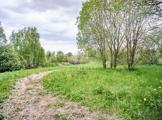 Продажа участка - поселок Петро-Славянка, Лесной проспект