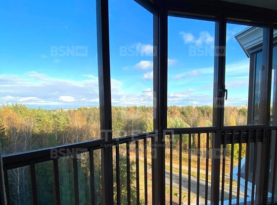 Продажа однокомнатной квартиры - Ломоносов, Михайловская улица, д.51 