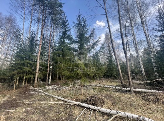 Продажа участка - Ленинградская область, Михайловское(Михайловка) территория снт
