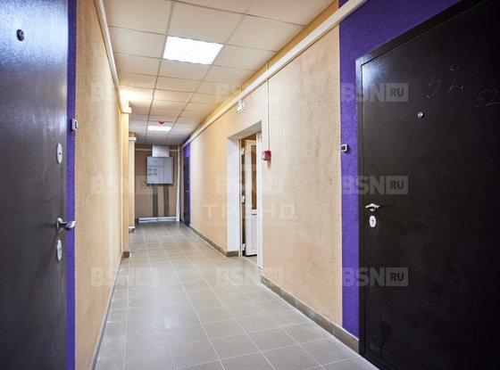 Продажа двухкомнатной квартиры - деревня Юкки, Тенистая улица, д.11, корп.1 
