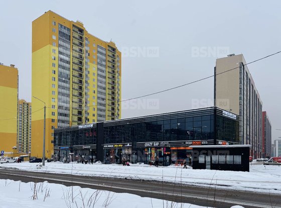 Аренда торгового помещения - Мурино, Ручьевский проспект, д.5, А 