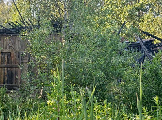 Продажа отдельно стоящего здания - поселок Песочный, Железнодорожная улица, д.14, литера А 