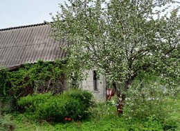 Продажа дома - 13-я линия ул.
