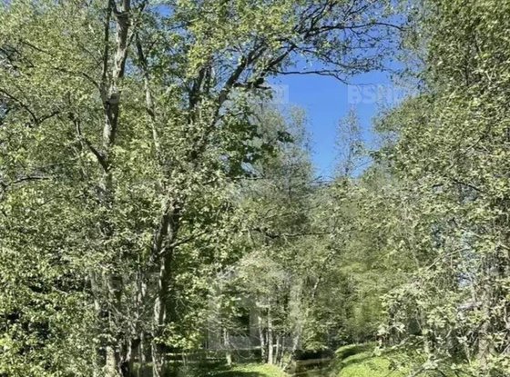 Продажа участка - Всеволожск, Пушкинская улица