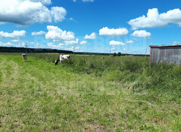 Продажа земельного участка - Ленинградская область, Гатчинский район, Большое Рейзино д. 