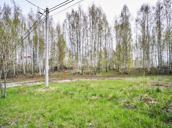 Продажа участка - Колтуши, Воейковское шоссе