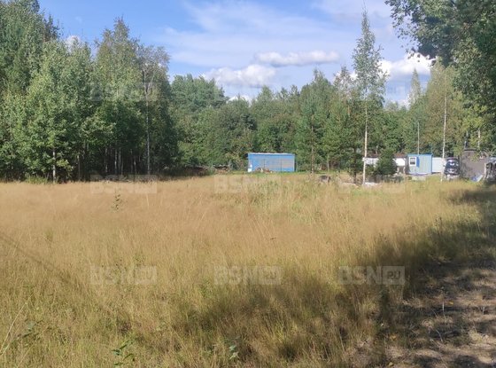 Продажа участка - деревня Светлое, Береговая улица