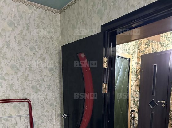 Аренда однокомнатной квартиры - Косыгина проспект, д.26, корп.1 