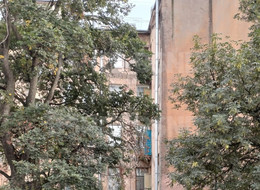 Продажа комнаты в шестикомнатной квартире - Санкт-Петербург, Василеостровский район, Большой В.О. пр-кт., д.25, литер А 