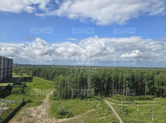 Продажа двухкомнатной квартиры - Мурино, Шувалова улица, д.40 