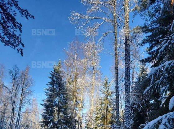 Продажа участка - Выборг, Средний Лесной проезд