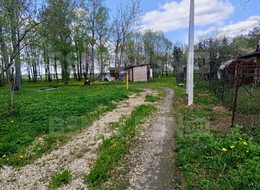 Продажа участка - Молосковицы д.