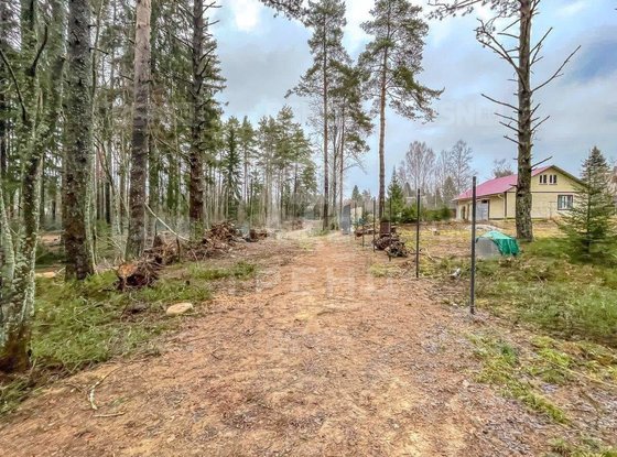 Продажа участка - городской поселок Рощино, Молодёжная улица