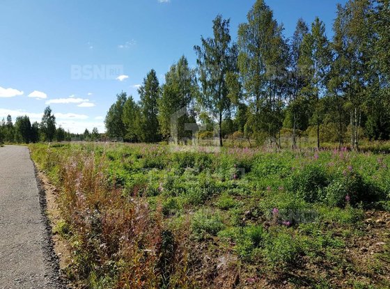 Продажа участка - деревня Никитилово, Молодежная улица