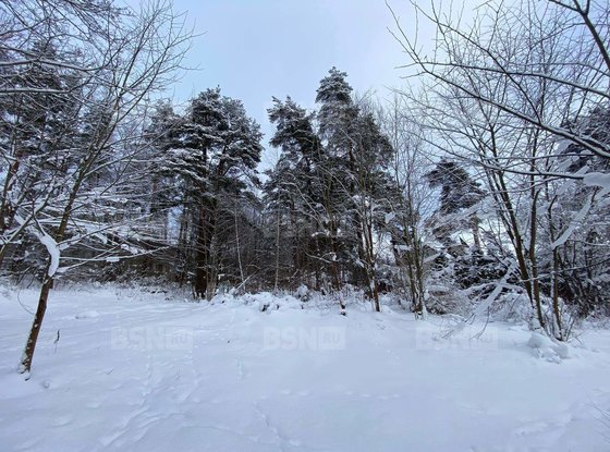 Продажа участка - Зеленогорск, Приморское шоссе